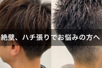 もみあげの白髪が気になる30代男性必見 その原因と対策とは Ryohei Kato