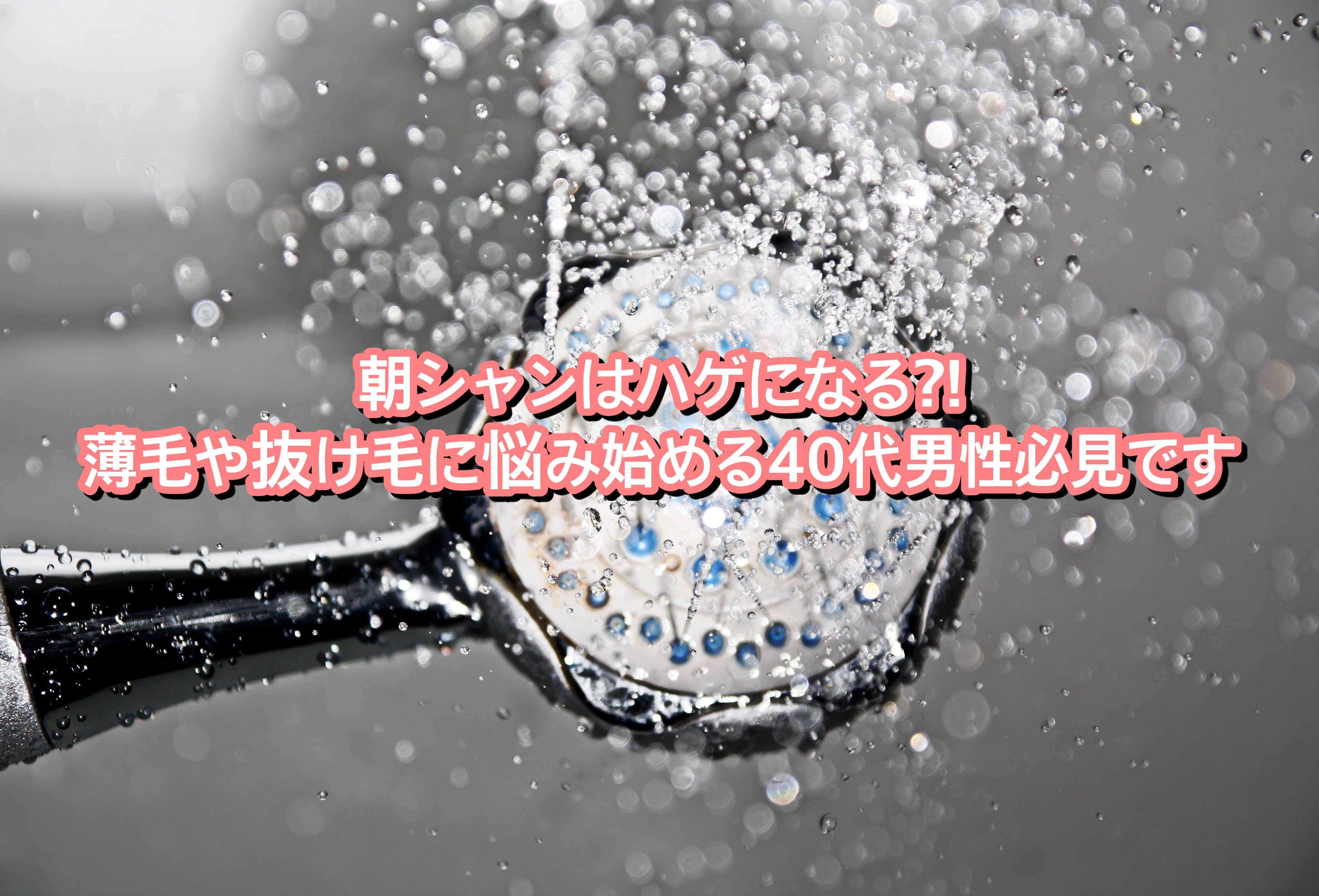 朝シャンはハゲになる 薄毛や抜け毛に悩み始める40代男性必見です Ryohei Kato 朝シャンはハゲになる 薄毛や抜け毛に悩み始める40代男性必見です Ryohei Kato