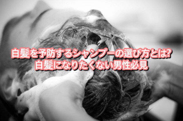 白髪を予防するシャンプーの選び方とは 白髪になりたくない男性必見 Ryohei Kato