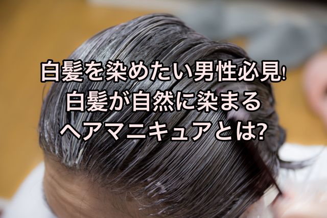 ヘア マニキュア 白髪染め メンズ