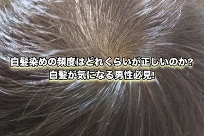 頭皮がかゆいのは白髪が生える前兆 白髪が気になり始めた男性必見 Ryohei Kato